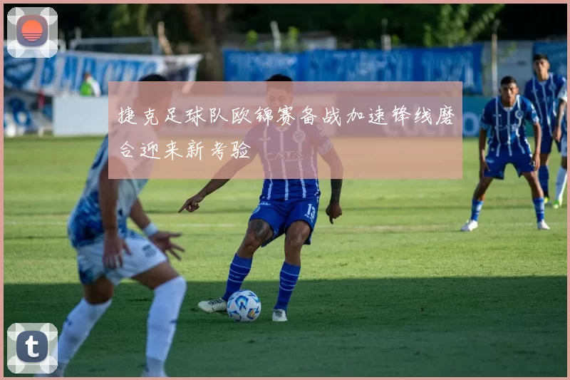 捷克足球队欧锦赛备战加速锋线磨合迎来新考验