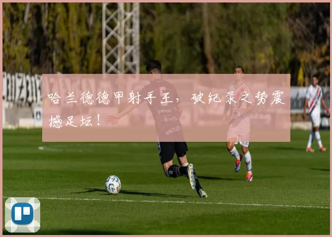 哈兰德德甲射手王，破纪录之势震撼足坛！