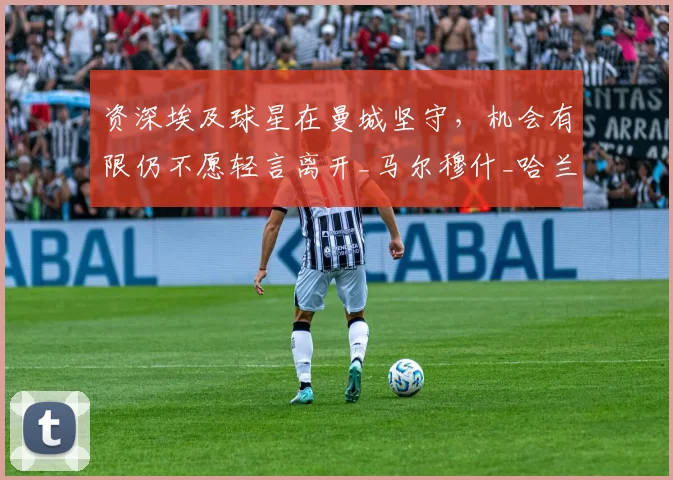 资深埃及球星在曼城坚守，机会有限仍不愿轻言离开_马尔穆什_哈兰德_瓜迪奥拉