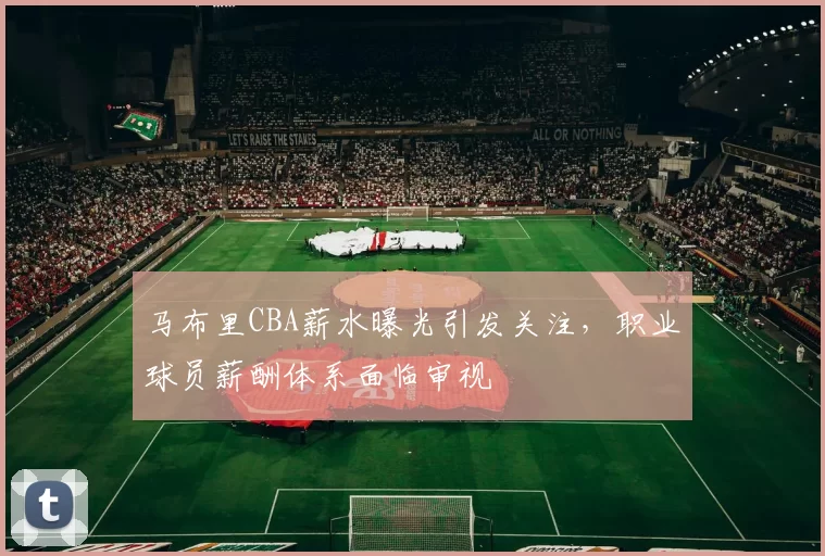 马布里CBA薪水曝光引发关注，职业球员薪酬体系面临审视