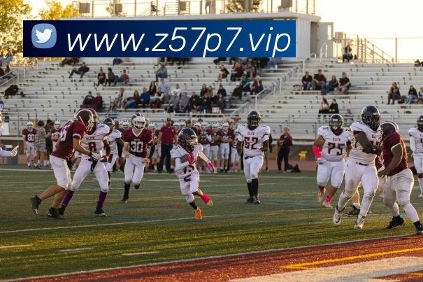 开云kaiyun网页版官网 - 开云kaiyun(中国)发展历程